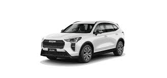 ТО Haval Jolion